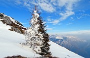 39 Abete vestito di bianca neve ghiacciata